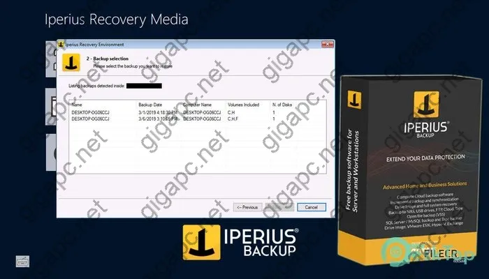 Iperius Backup Activation key