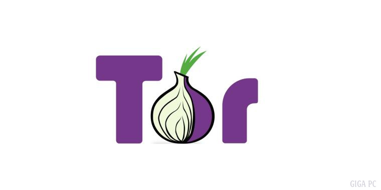 Tor Browser: The Forefront of Internet Anonymity