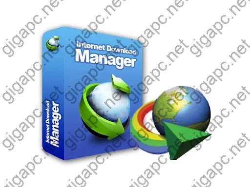 Internet Download Manager Serial key 2024 Free Download