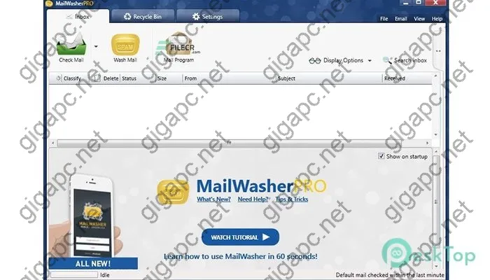 Firetrust MailWasher Pro Crack 7.15.7 Free Download